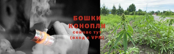 крисы Кулебаки