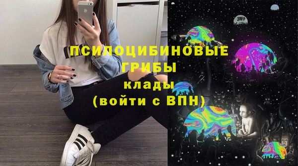 кокс Алексин