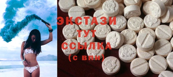 крисы Кулебаки